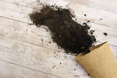 Tahta masadaki turba tenceresine dökülmüş toprak. Bahçe işleri ve ekimler için mükemmel. Zengin kahverengi toprak, yeni projeler için ideal ahşap ile çok güzel tezat oluşturuyor. İlkbaharda büyümenin ve doğanın özünü yakalar
