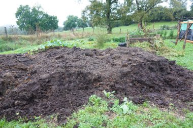 Büyük gübre yığını, bir çiftlik bahçesinde sebze yetiştirmek ve sürdürülebilir tarımı desteklemek için doğal gübre sağlar.