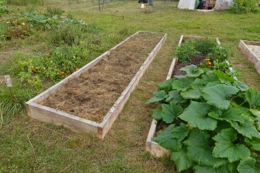Kabak ve domatesler de dahil olmak üzere gelişmekte olan sebze bahçeleri yetiştirilmiş, arka planda çimenli bir tarlası ve serası olan kırsal bir çevre ile çevrili..