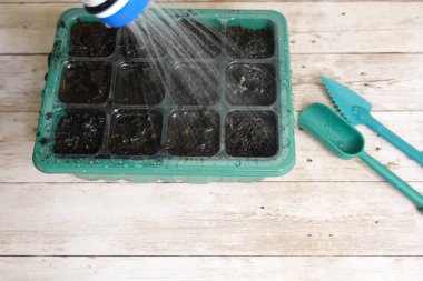 Küçük bir sprey şişesiyle sulanan tohum tepsisi, beyaz ahşap masada duran bahçe aletleri.