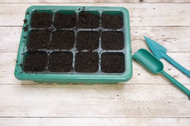 Toprakla dolu yeşil fidan tepsisi, yanında küçük bahçe aletleri, hafif ahşap bir masada, dikmeye hazır.
