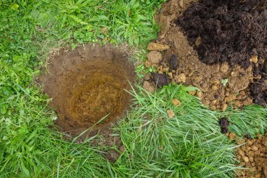 Kompost ve toprakla çevrili, bahçedeki yemyeşil çimlerin üzerinde dinlenen yeni bir ağaç ya da bitki için bekleyen bir çukur.