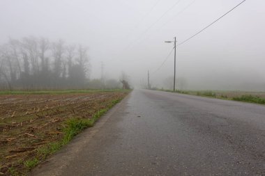 Islak asfalt yol, soğuk bir kış günü sislerin içinde kayboluyor, her iki tarafta tarlalar ve ağaçlar var.