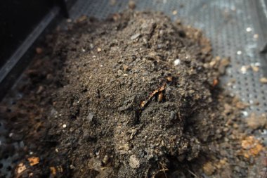 Toprağı besin yoğunluğu yüksek gübre ile zenginleştirerek sürdürülebilir bahçıvanlık uygulamaları için ideal hale getiriyor.