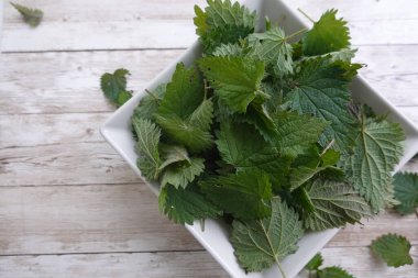 Taze koparılmış ısırgan otu yaprakları beyaz bir kâsede sunulur, kırsal ahşap masa zeminine dayanır, mutfak ve tıbbi kullanıma hazırdır.