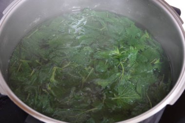 Taze ısırgan otları tencerede kaynatılır, çırpılmış yumurta ya da diğer yemeklerde kullanılmadan önce iğnelerini temizlemek için beyazlatılır.