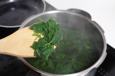 Tahta kaşık taze koparılmış ısırgan otlarını kaynar su tenceresinin üzerine kaldırarak sağlıklı ve besleyici bir yemek pişirmeye hazırlanıyor.