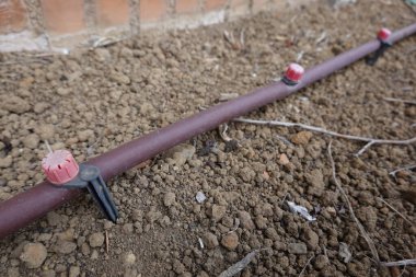 Serum sulama sisteminin kapatılması kuru toprağı verimli bir şekilde sulayarak bir bahçe ortamındaki bitkiler için hassas su kaybını sağlar.