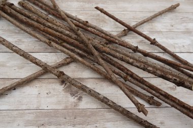 Beyaz ahşap bir masanın üzerinde duran kuru dallar, bahçecilik ve bitki yetiştirme konsepti için hazır.