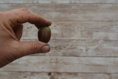 Küçük, olgun bir kivi meyvesini parmaklarının arasında tutan çiftçi, kırsal ahşap bir arka plana yaslanmış, organik tazeliği vurguluyor.