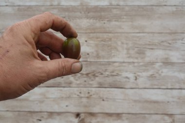 Çiftçi gururla taze, olgun, sert bir kivi meyvesini kırsal bir ahşap arka planda tutar, sonbahar hasadının özünü vurgular.