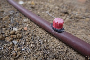 Kahverengi bir borunun üzerindeki kırmızı damlatıcı kuru bir bahçede sulama için verimli bir şekilde su dağıtıyor ve kurak koşullarda sürdürülebilir büyümeyi teşvik ediyor.