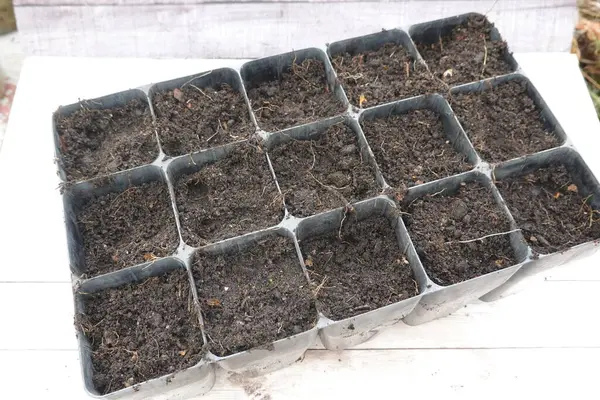 Saksı toprağıyla dolu modüler tepsi, beyaz ahşap bir yüzeye yerleştirilmiş kesikler ya da fidanlar için hazırdır.