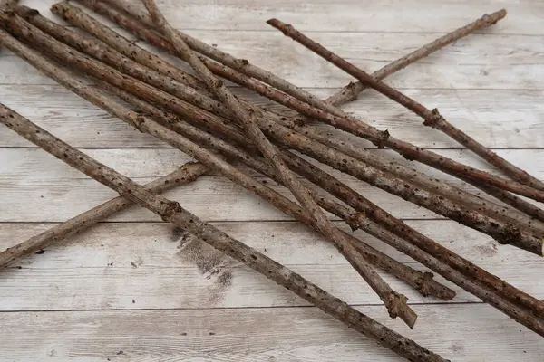 Beyaz ahşap bir masanın üzerinde duran kuru dallar, bahçecilik ve bitki yetiştirme konsepti için hazır.