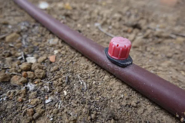 Kahverengi bir borunun üzerindeki kırmızı damlatıcı kuru bir bahçede sulama için verimli bir şekilde su dağıtıyor ve kurak koşullarda sürdürülebilir büyümeyi teşvik ediyor.