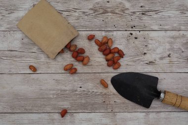 Fıstıklar bir kese kağıdından eski ahşap bir masaya dökülüyor. Bahçe malasının yanına. Bu da ekme ya da çiftçilik faaliyetlerini gösteriyor.