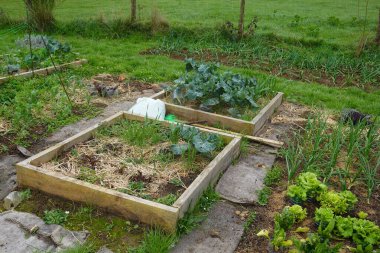 Yükseltilmiş yatakları kullanarak kare şeklinde bahçıvanlık, gübre ve ot bariyeriyle toprağı koruma, lahana yetiştirme, marul, soğan ve pazı.
