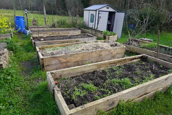 Baharın başlarında sebze ve ot yetiştiren ahşap yataklar yetiştirildi. Arka planda bir depolama kulübesi ve su varili vardı.