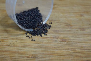 Küçük, yuvarlak, siyah pak choi tohumları şeffaf plastik bir kaptan açık kahverengi bir tahta kesme tahtasına dökülüyor, ekime ya da pişirmeye hazır.