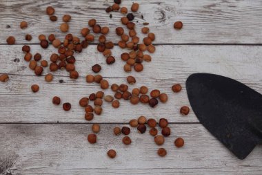 Güvercin bezelyeleri yıpranmış ahşap bir yüzeye yayılmış. Yakınlarda bahçeli bir mala var. Kırsal tarım temasını vurguluyorlar.