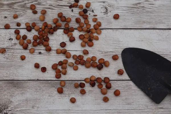 Güvercin bezelyeleri yıpranmış ahşap bir yüzeye yayılmış. Yakınlarda bahçeli bir mala var. Kırsal tarım temasını vurguluyorlar.