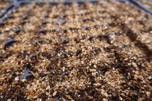 Perlit, vermikülit ve turba yosunu karışımı tohumları başlatmak ya da kök kesme işlemleri için mükemmel drenaj ve havacılık sağlayan ideal bir büyüme ortamı yaratır.