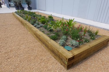 Çakıl taşlarında yetişen çeşitli bitki ve çiçeklerden oluşan dikdörtgen ahşap bir çiçek yatağı, kentsel veya endüstriyel bir ortama biraz doğa katıyor.