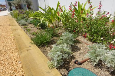 Modern damla sulama sistemi verimli bir şekilde canlı bir çiçek yatağını sulayarak sürdürülebilir bahçe uygulamalarını teşvik eder.