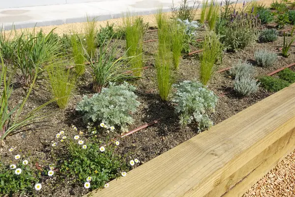 Damlatma sistemi, çeşitli bitkileri verimli bir şekilde sulayarak, sürdürülebilir bahçıvanlık uygulamalarını teşvik eder.