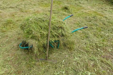 El arabası yeni biçilmiş çimenlerle dolu, tırmıkla ona yaslanmış, çimenlik bakımını ve bahçecilik faaliyetlerini gösteriyor.
