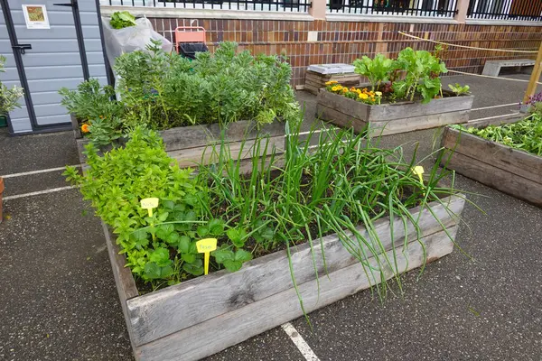 Okul bahçesinde çeşitli sebze ve otlar yetiştirerek, sağlıklı beslenme ve açık hava eğitimini teşvik ederek,