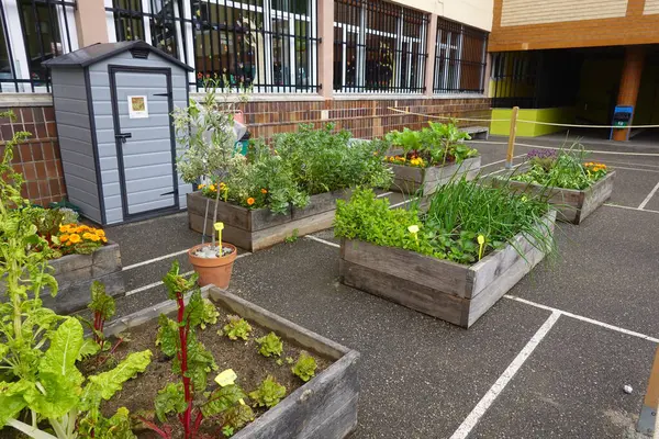 Okul bahçesinde yetişen eğitimsel sebze bahçesi sağlıklı beslenmeyi ve öğrenmeyi teşvik ediyor.