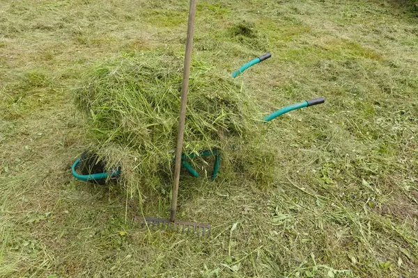 El arabası yeni biçilmiş çimenlerle dolu, tırmıkla ona yaslanmış, çimenlik bakımını ve bahçecilik faaliyetlerini gösteriyor.
