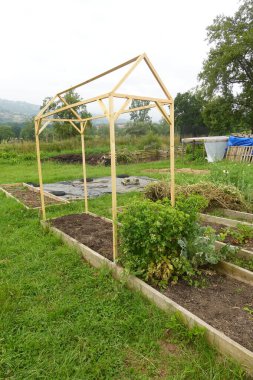 Permakültür bahçesinde sebze yetiştiren ahşap çerçeve destek ve barınak sağlıyor.