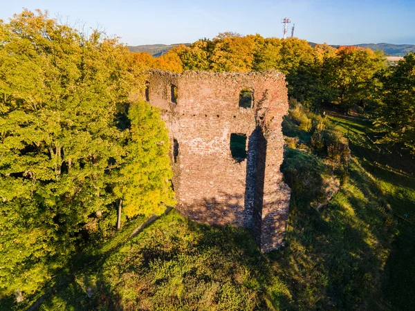 Szczegóły Ruin Starego Średniowiecznego Zamku Mestecko Trnavka Morawy Republika Czeska — Zdjęcie stockowe