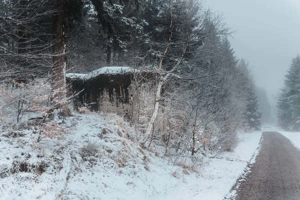 A foggy forest with a path and snowy hidden concrete bunker. Orlicke hory, Czech republic