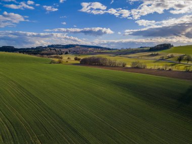 Güzel bir bahar günü, çayırlar, ağaçlar ve açık mavi gökyüzü. Çek Cumhuriyeti