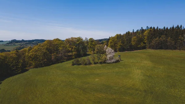 Orman, çayır ve yüksek koltuklu Czech Doğa Bahar Günü