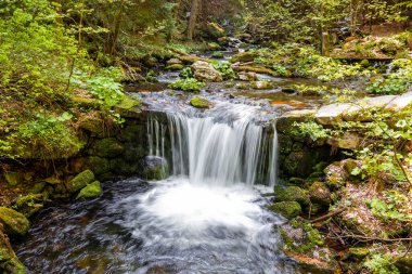 Çek Cumhuriyeti Jeseniky ormanında çağlayan şelalenin güzel manzarası