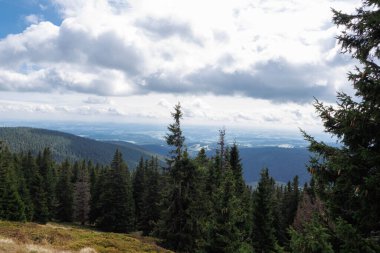 Jeseniky 'de arka planda sade bulutlu bir gün. Çek Cumhuriyeti.