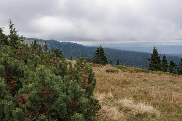 Montanhas Jeseniky Com Planícies Árvores Floresta Picos Nebulosos Checoslováquia — Fotografia de Stock