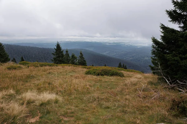 Panorama Jeseniky Bergen Molnig Och Dimmig Dag Tjeckiska Republiken — Stockfoto