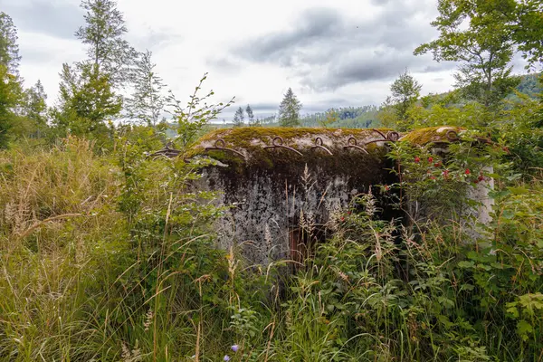 Ένα Κρυμμένο Τσιμεντένιο Καταφύγιο Βρύα Βαθύ Δάσος Του Jeseniky Τσεχία Εικόνα Αρχείου