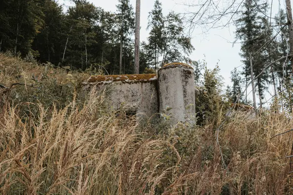 高い草地に隠されたコンクリートバンカー チェコ チェコ ロイヤリティフリーのストック画像