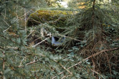 Çalı ve devrilmiş ağacın arkasındaki terk edilmiş sığınak. Orlikan azgınlığı.