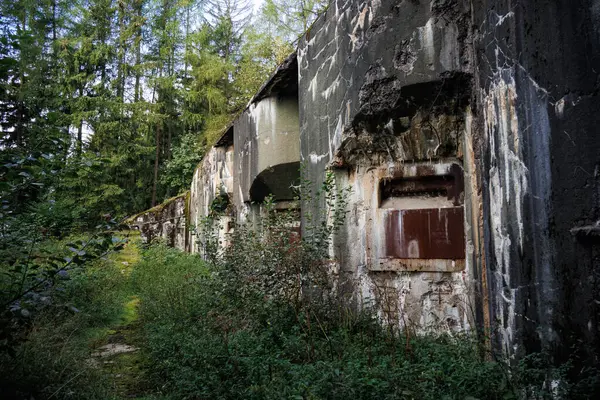 Bunker Hormigón Abandonado Con Armadura Embrasure Bosque Checo — Foto de Stock