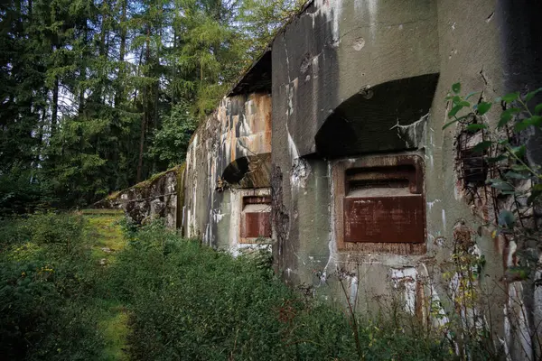 チェコの森で装甲のブラシが付いている放棄されたコンクリートのバンカー ストックフォト