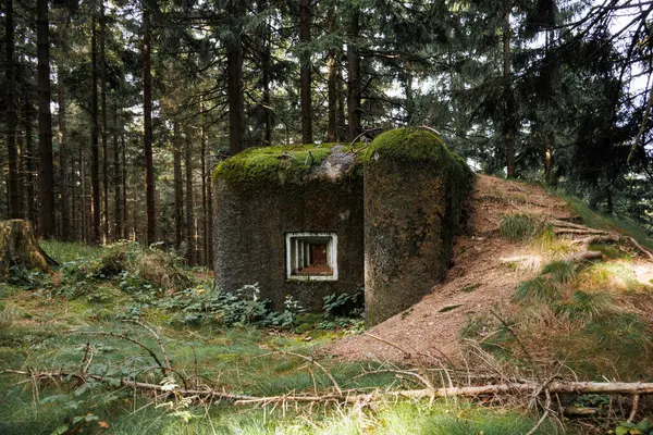 チェコの山の森で放棄された砦 オーリック ホーリー ストック写真