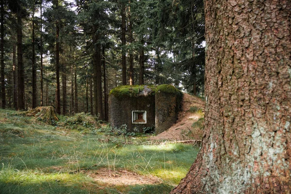Εγκαταλελειμμένο Φρούριο Στο Δάσος Στα Τσέχικα Βουνά Orlicke Hory Εικόνα Αρχείου
