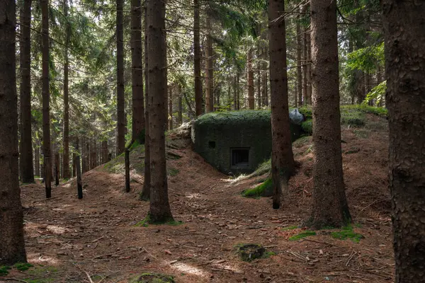 木々と以前の要塞を備えた森の景色 オーリック ホーリー ロイヤリティフリーのストック写真